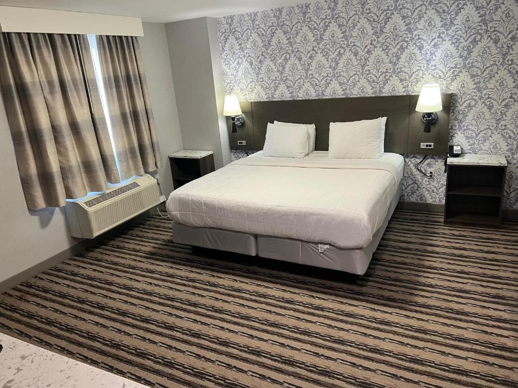 king room3